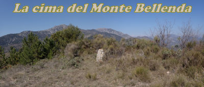 bellenda